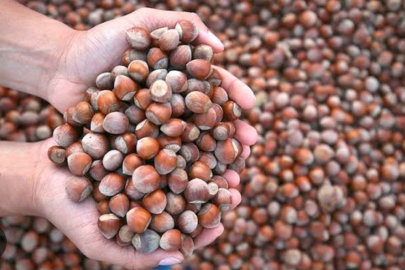 FİSKOBİRLİK FİYATLARI YENİDEN YÜKSELTTİ