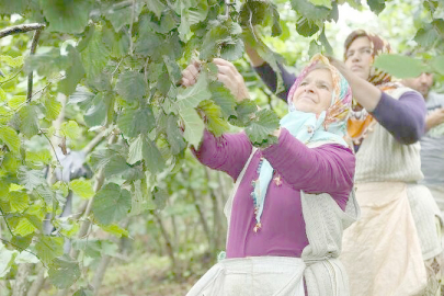 ÜRETİCİLERE ÇKS UYARISI YAPILDI
