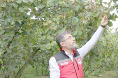 FINDIKTA ZİRAİ DON ÖDEMELERİ BAŞLADI!