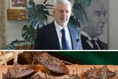 “FINDIK TEHDİT ALTINDA!”