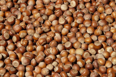 “ÜRETİCİYLE OYUN OYNAMAYIN!”