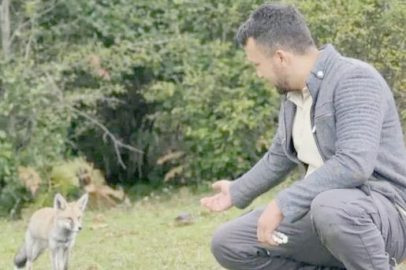 AÇ KALAN TİLKİLERİ ELLERİYLE DOYURDU