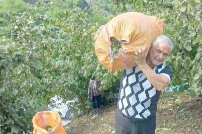 “FINDIĞINI ÇÜRÜTÜR, YİNE SATMAZ!”