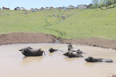 ORDU’YA MANDA DESTEĞİ MÜJDESİ!