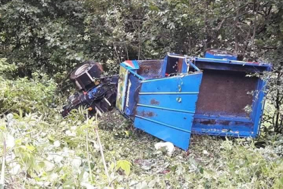 PAT PAT 1 CAN DAHA ALDI!