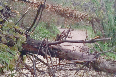 BOLAMAN’DA ŞİDDETLİ YAĞIŞ 3 ELEKTRİK DİREĞİNİ YIKTI!