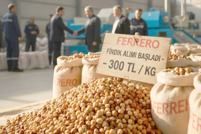 FERRERO FINDIK ALIMINA BAŞLADI