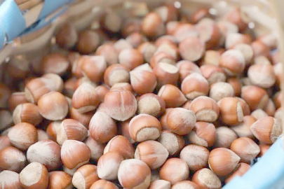 FINDIKTA KRİTİK EŞİK 350 LİRA!