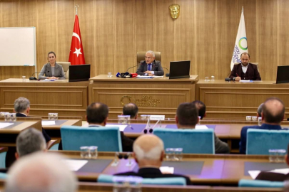 BÜTÇEDE ASLAN PAYI ÜNYE’NİN!