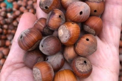 “FELAKET TELLALLARI PEŞ PEŞE KONUŞTU”