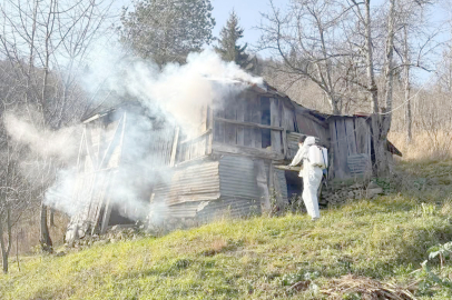 KAHVERENGİ KOKARCAYLA MÜCADELE SÜRÜYOR