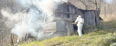 KAHVERENGİ KOKARCAYLA MÜCADELE SÜRÜYOR