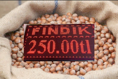 40 GÜNDE 100 LİRA DÜŞTÜ!