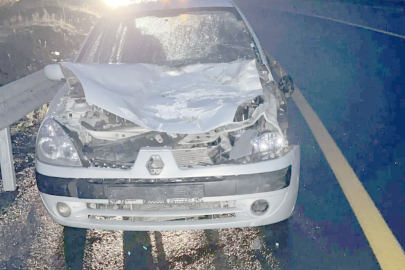 OTOMOBİLİN ÇARPTIĞI İNEK TELEF OLDU