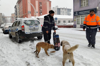 KAR BASTI, VİCDAN ISITTI