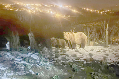 AYILAR KAPILARA DAYANDI!