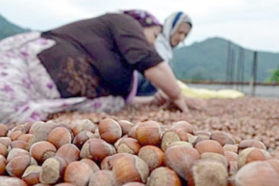 ÜRETİCİYE 48,5  MİLYON TL CAN SUYU!