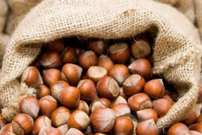 FINDIK HAFTAYA YÜKSELİŞLE BAŞLADI