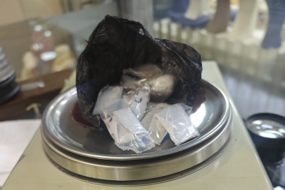 ORDU’DA 2 ZEHİR TACİRİ TUTUKLANDI