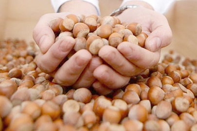 ÇİFTÇİYE KREDİ ENGELİ!