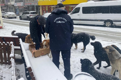 CAN DOSTLARI UNUTULMADI