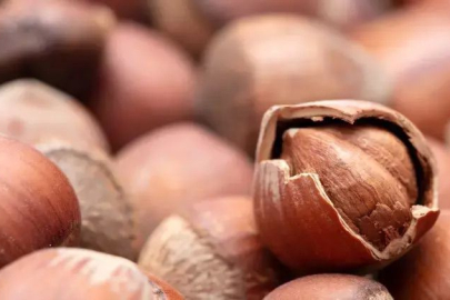 FİSKOBİRLİK BİR KEZ DAHA DÜŞÜRDÜ!