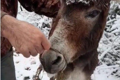 ORDU’YA ATILAN İFTİRA ÇÖKTÜ!