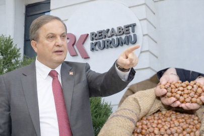 FINDIKTA BÜYÜK ÇÖKÜŞ!