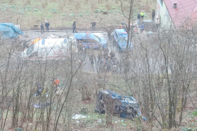 PATPAT 1 CANI DAHA ALDI