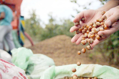 “BU FİYAT İHANETTİR!”