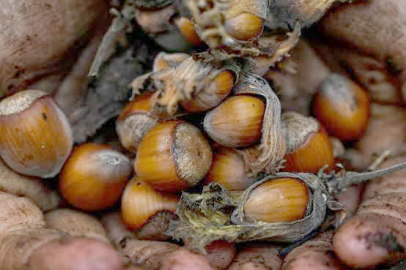 “O KAPILARA DAYANMASINI DA BİLİRİZ”