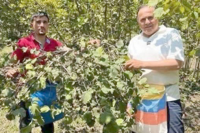 “FINDIĞA BİLİNÇLİ OPERASYON YÜRÜTÜLÜYOR”