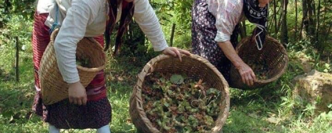 “FINDIĞA SAHİP ÇIKIN!”