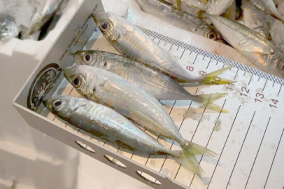 ORDU’DA GECE DENETİMİ