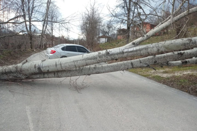 YÜKSEKLERİ FIRTINA VURDU!
