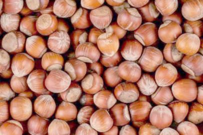 “BÖLGE DİKEN ÜSTÜNDE!”