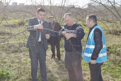 DENETİMLİ SERBESTLİKTEN ÜRETİME ANLAMLI KATKI