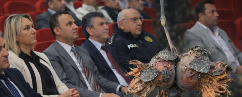 KOKARCAYA KARŞI 2. RAUNT!