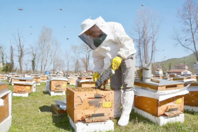 BALDA ZİRVE ORDU’NUN!