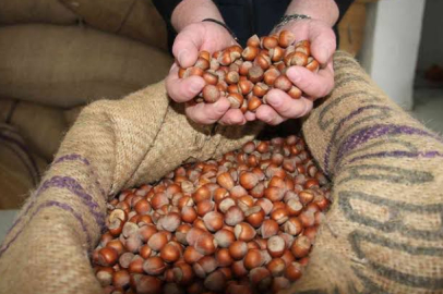 FİSKOBİRLİK FİYATI GERİ ÇEKTİ!