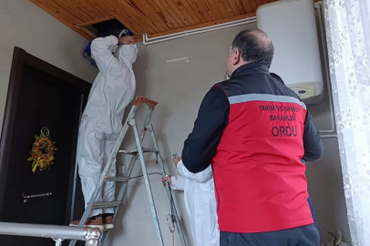 PROTOKOL SAHAYA İNDİ