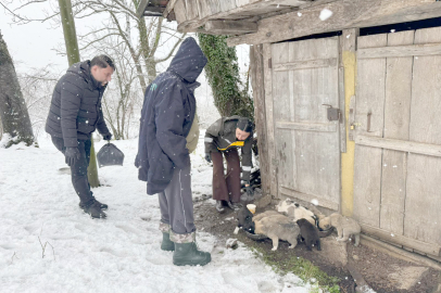FATSA BELEDİYESİ’NDEN SOKAK HAYVANLARINA ŞEFKAT ELİ