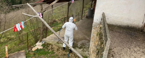 FATSA’DA KOKARCAYA KARŞI SAVAŞ SÜRÜYOR!