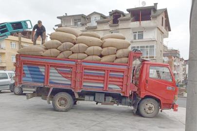 TMO FINDIK SATIŞINI YALANLADI