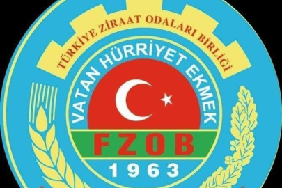 FINDIK ÜRETİCİLERİNE MART UYARISI!