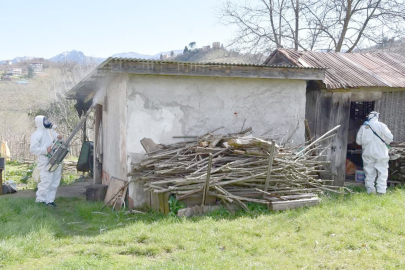 KOKARCA SAVAŞI SÜRÜYOR