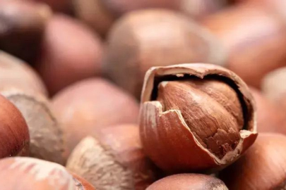 İHRACAT AZALDI, GELİR YÜKSEK KALDI