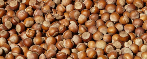 İHRACAT AZALDI, GELİR YÜKSEK KALDI