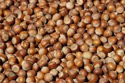 FINDIK 220 TL’YE GERİLEDİ!