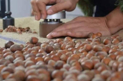 829 BİN TONLUK  TAHMİNE SERT TEPKİ!